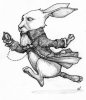 White_Rabbit_from_AliceInWonderland.jpg