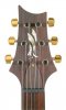 headstock.jpg