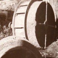 Woodness
