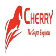 cherrybeltsin