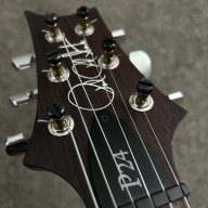 rayvin6string